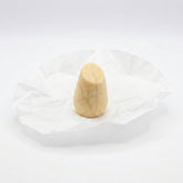 Volumize - Solid Vegan Shampoo Bar | HiBAR - NO BOX