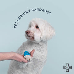 Eco-Friendly Pet Travel Bandage Kit – Compact First Aid Tin
