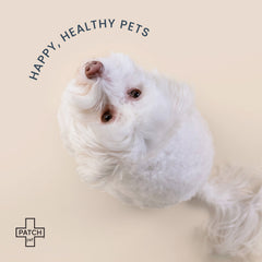Eco-Friendly Pet Travel Bandage Kit – Compact First Aid Tin