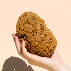 Natural Body Sea Sponge – Biodegradable Body Exfoliator