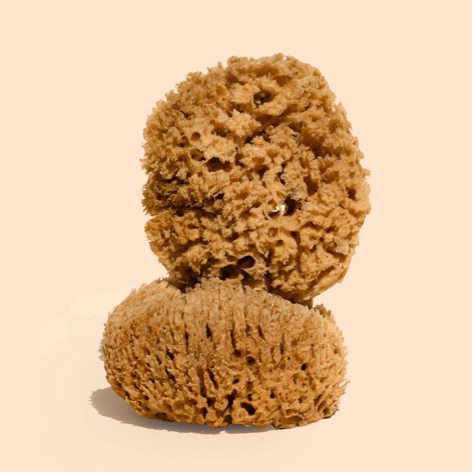 Natural Body Sea Sponge – Biodegradable Body Exfoliator