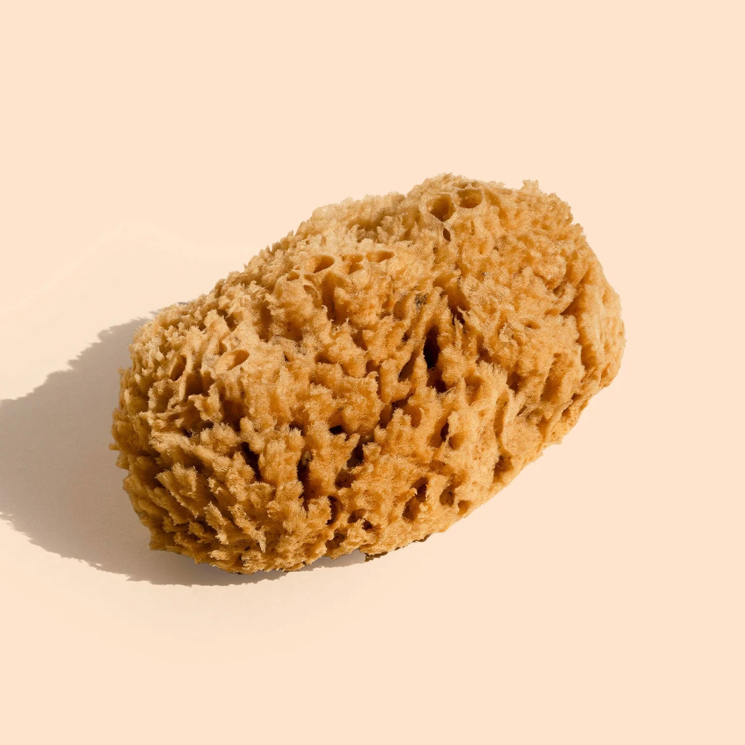 Natural Body Sea Sponge – Biodegradable Body Exfoliator