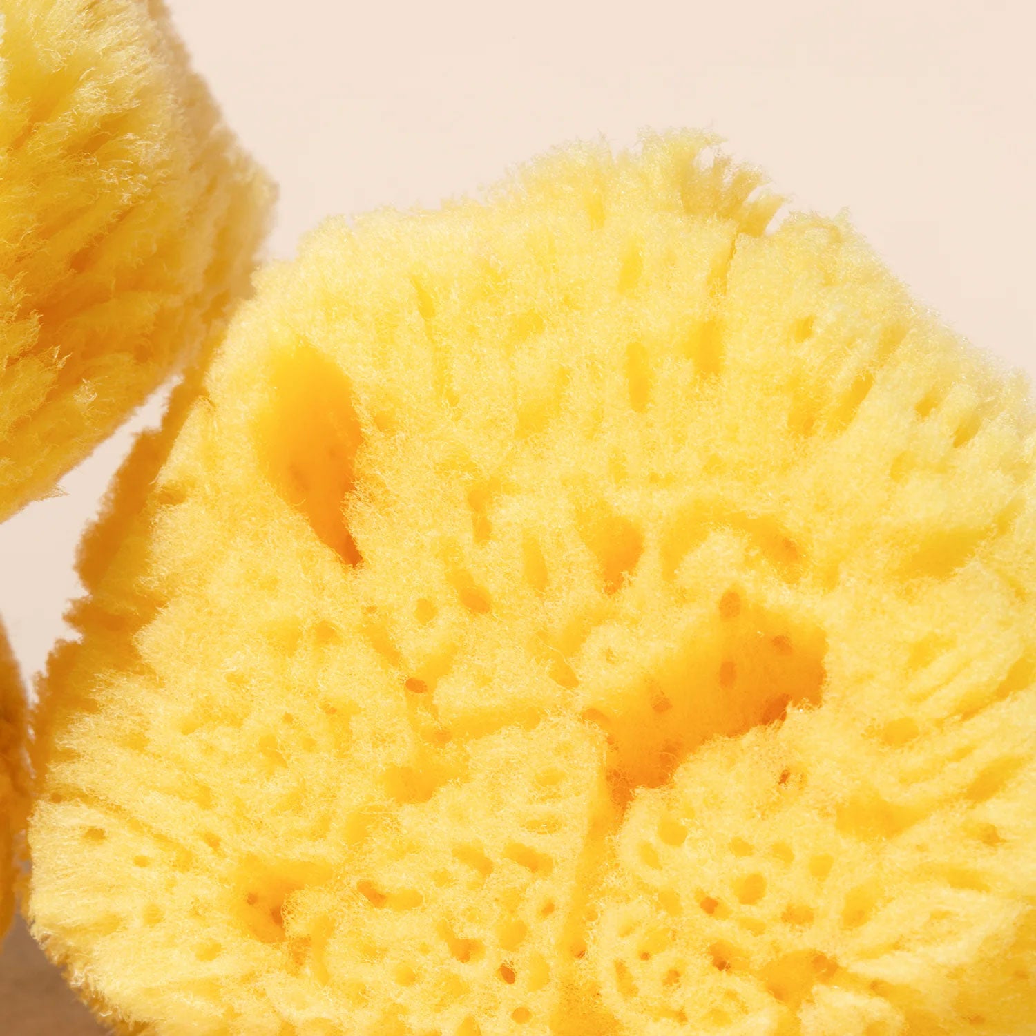 Silk Sea Sponge – Gentle, Natural Facial Exfoliator