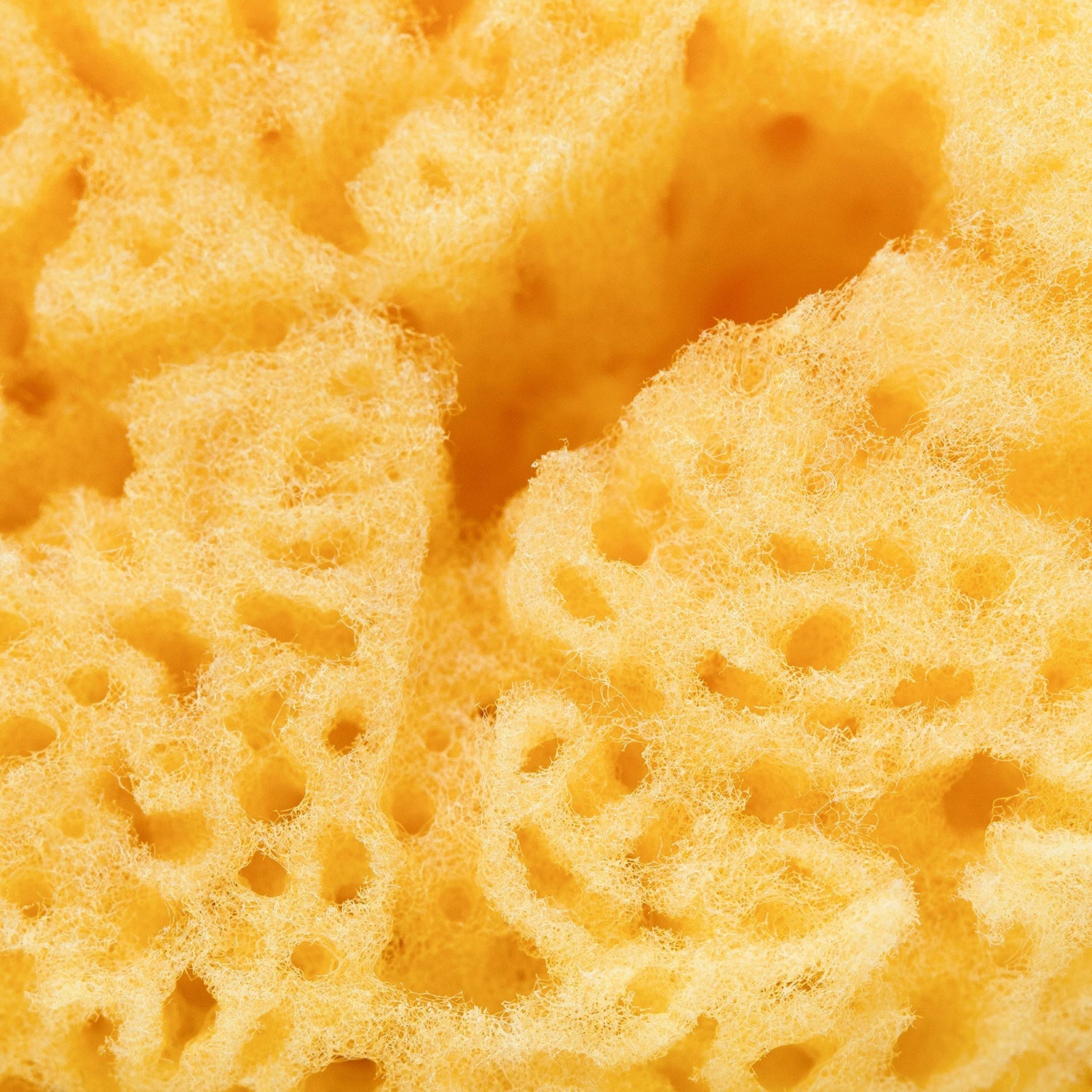Silk Sea Sponge – Gentle, Natural Facial Exfoliator