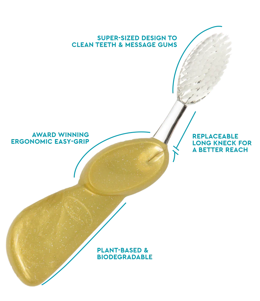 RADIUS Big Brush - Adult Toothbrush with Replaceable Head