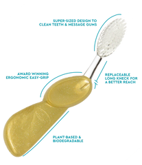 RADIUS Big Brush - Adult Toothbrush with Replaceable Head