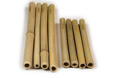 coupleDots Biodegradable Bamboo Drinking Straws - EcoFreax | Think Bigger.