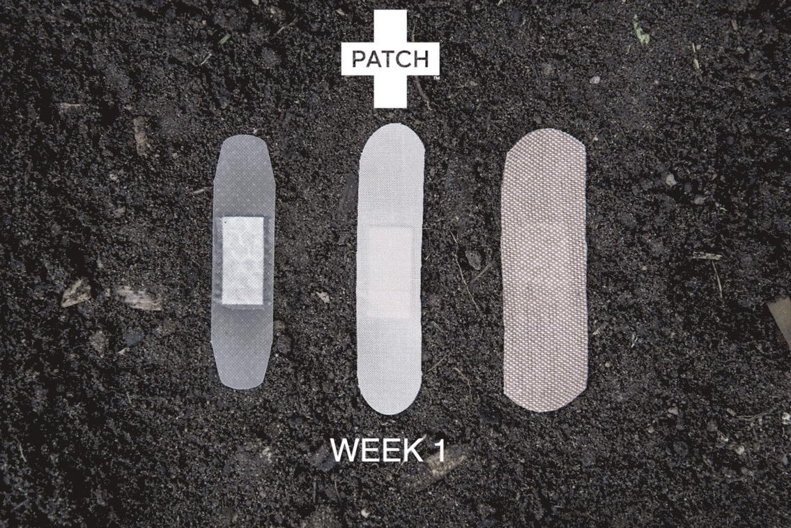 PATCH Panda Bamboo Bandages – Eco-Friendly, Kid-Friendly First Aid