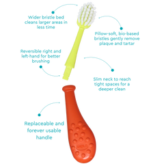 RADIUS Big Kidz Replaceable Head Forever Brush