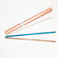 Save My Straw | Two Straw Travel Set with Brush and Case - EcoFreax | Think Bigger.