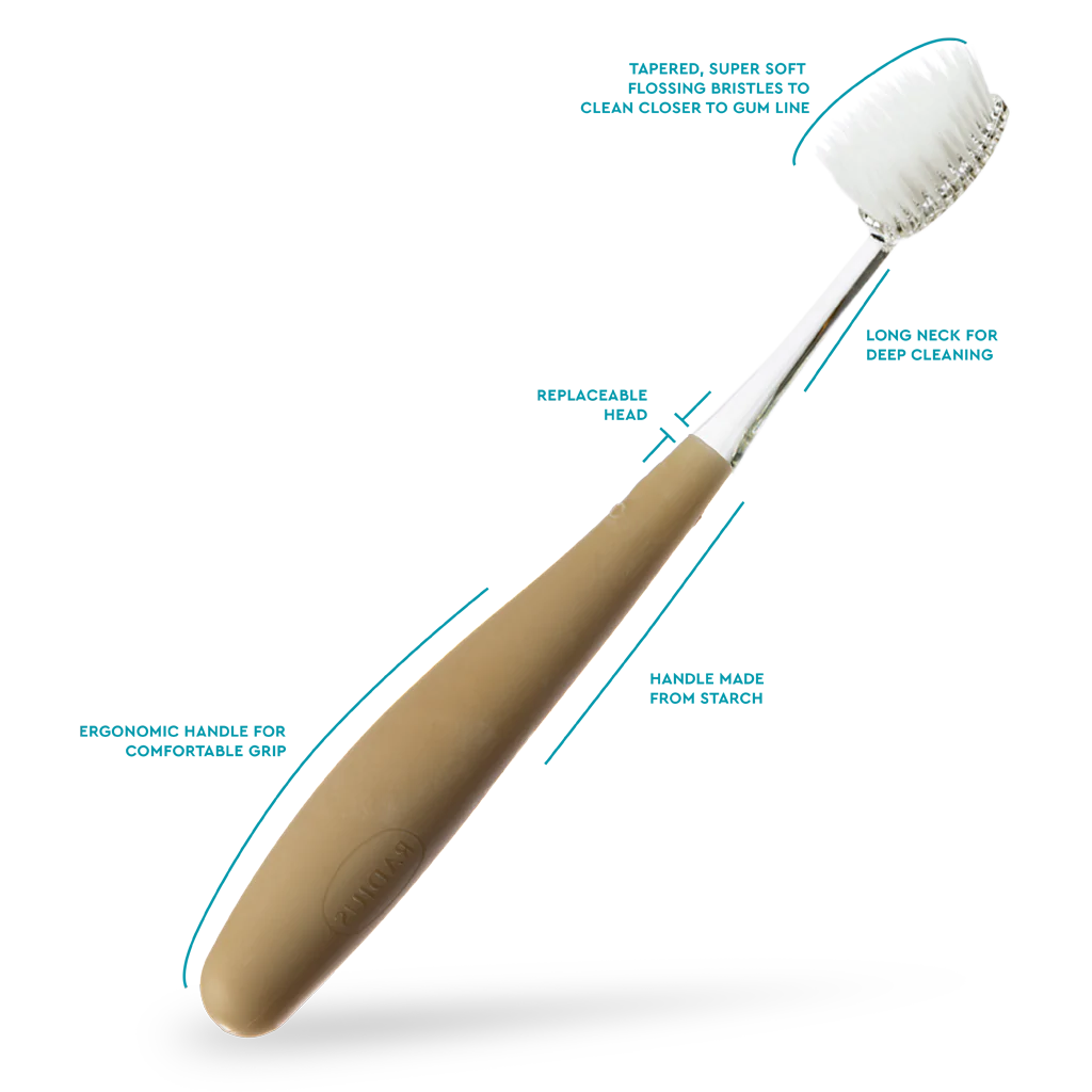 RADIUS Source Brush - Adult Toothbrush with Replaceable Head