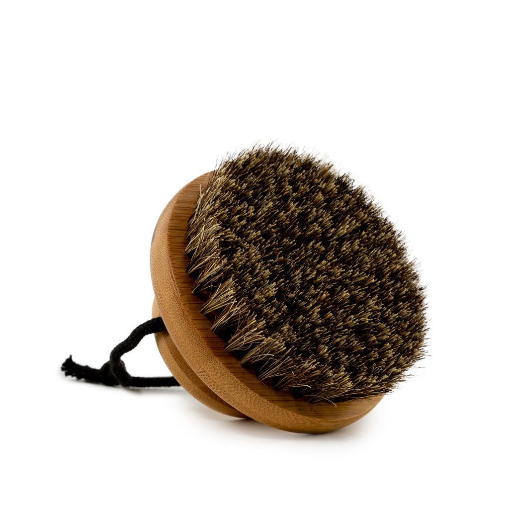 dry brush - round body brush | bamboo + horse bristles