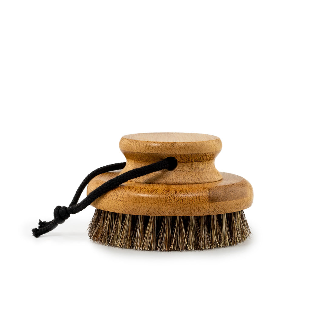 dry brush - round body brush | bamboo + horse bristles