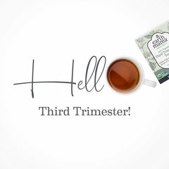 organic third trimester tea - mint | earth mama (distressed box)